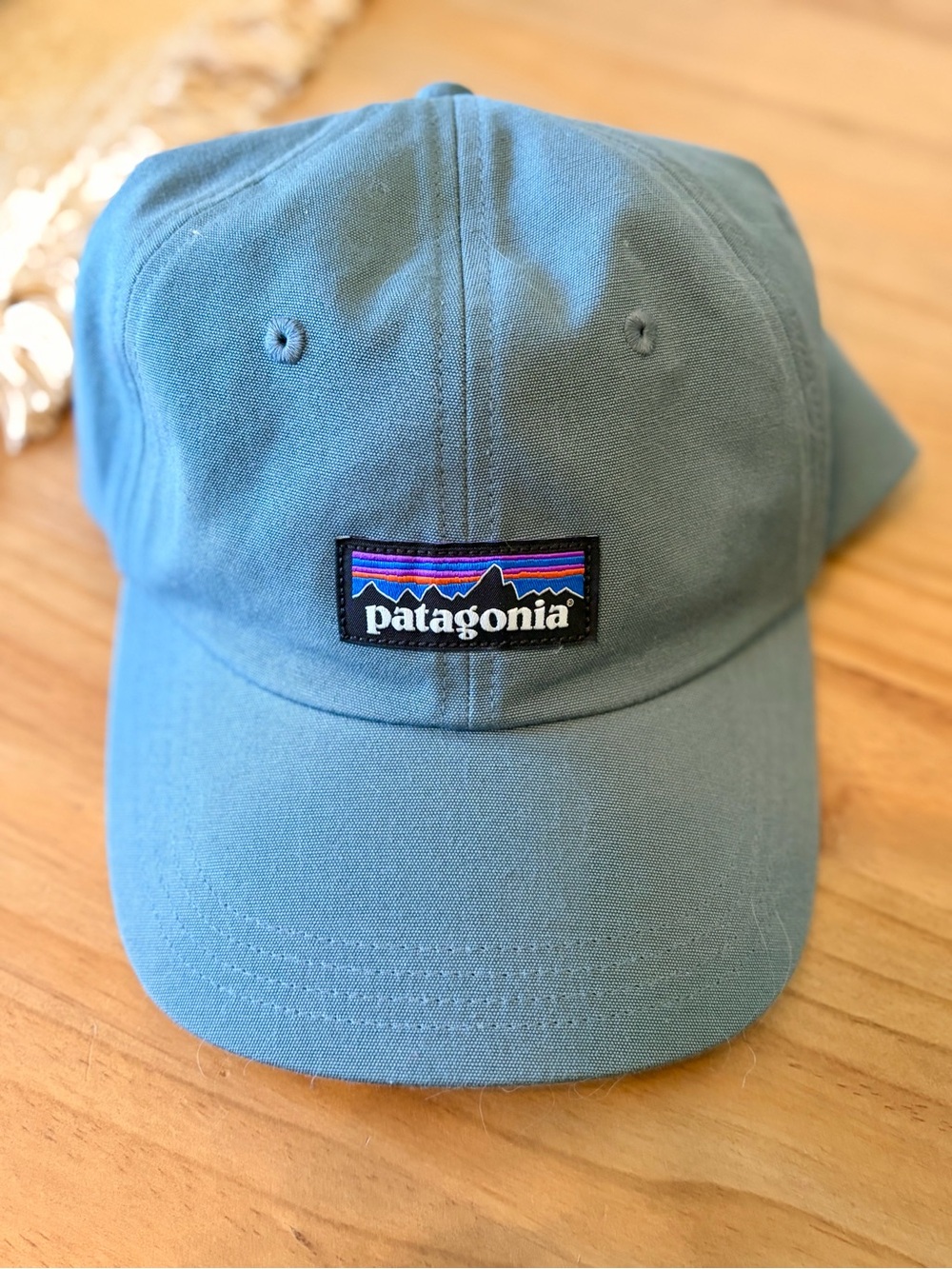 Patagonia Light Blue P-6 Label Trad Cap - Patagonia Logo